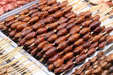 Жареные шелкопряды