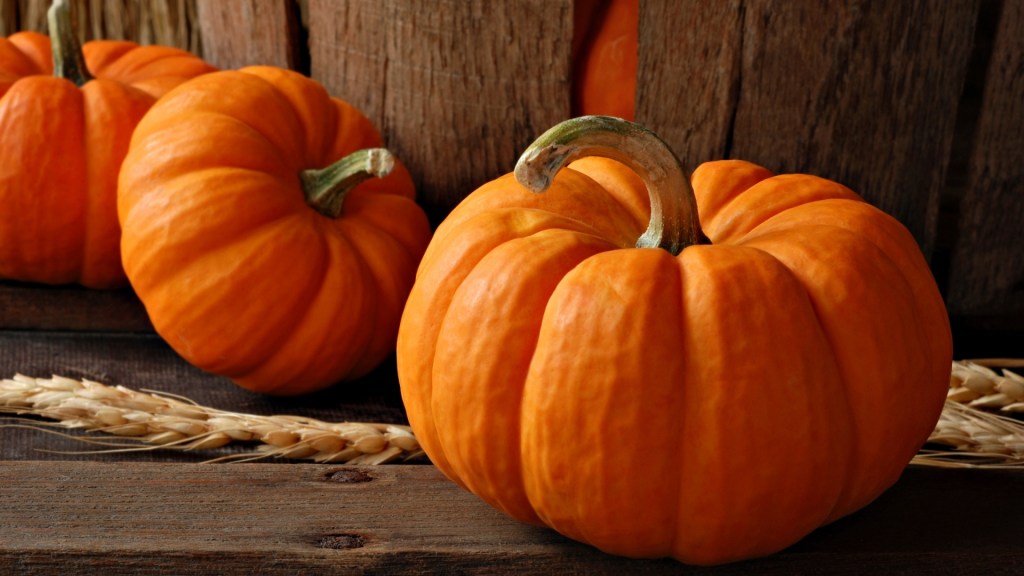 6855219-pumpkin-wallpaper