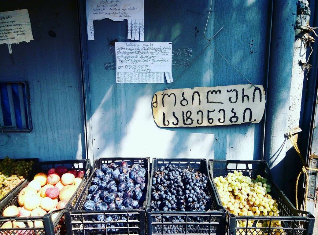 14394049_1238474749543511_20287881_o