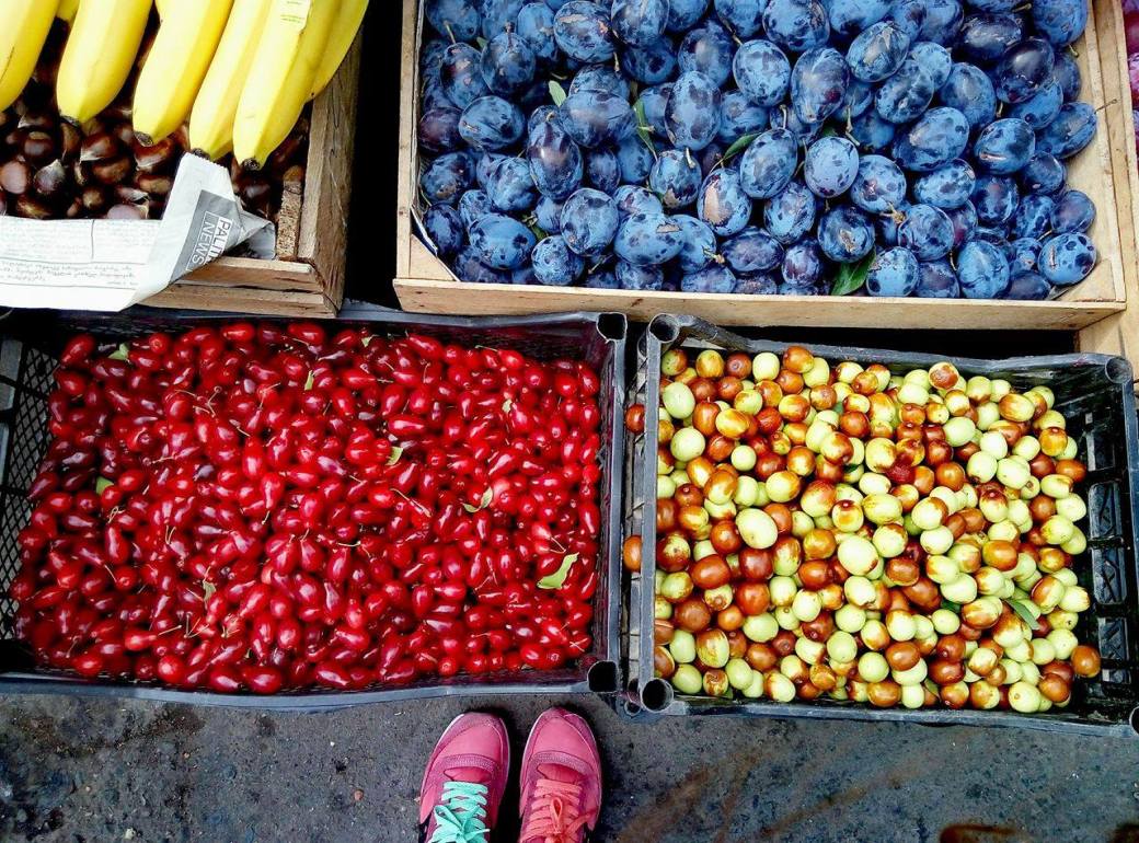 14424133_1238474319543554_2139999443_o