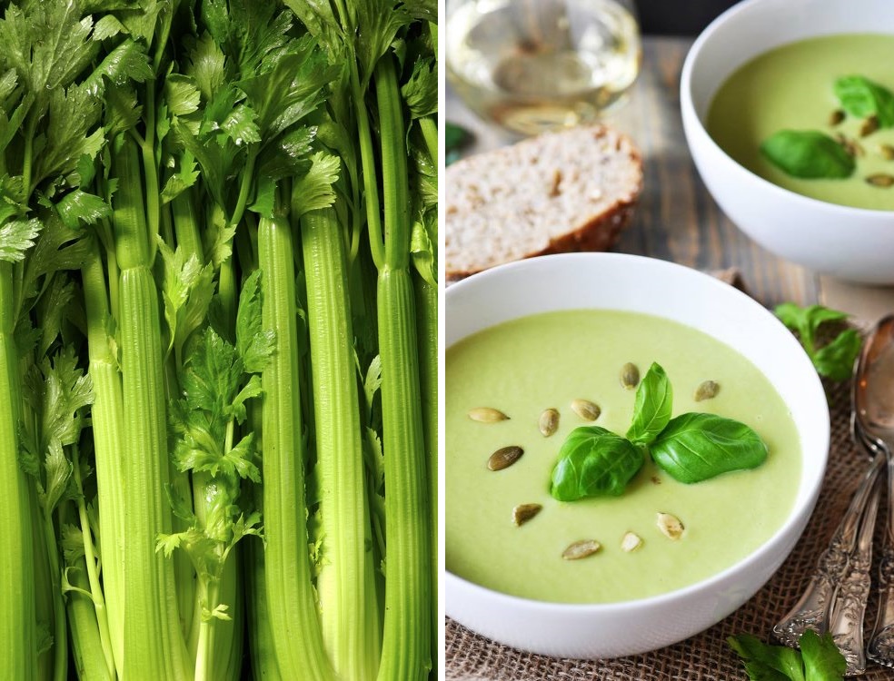 %d0%bc%d0%b0%d1%88%d0%b0-%d0%ba%d0%be%d1%82%d0%bb%d0%b5%d1%82%d0%ba%d0%b0-%d1%81%d0%b5%d0%bb%d1%8c%d0%b4%d0%b5%d1%80%d0%b5%d0%b9