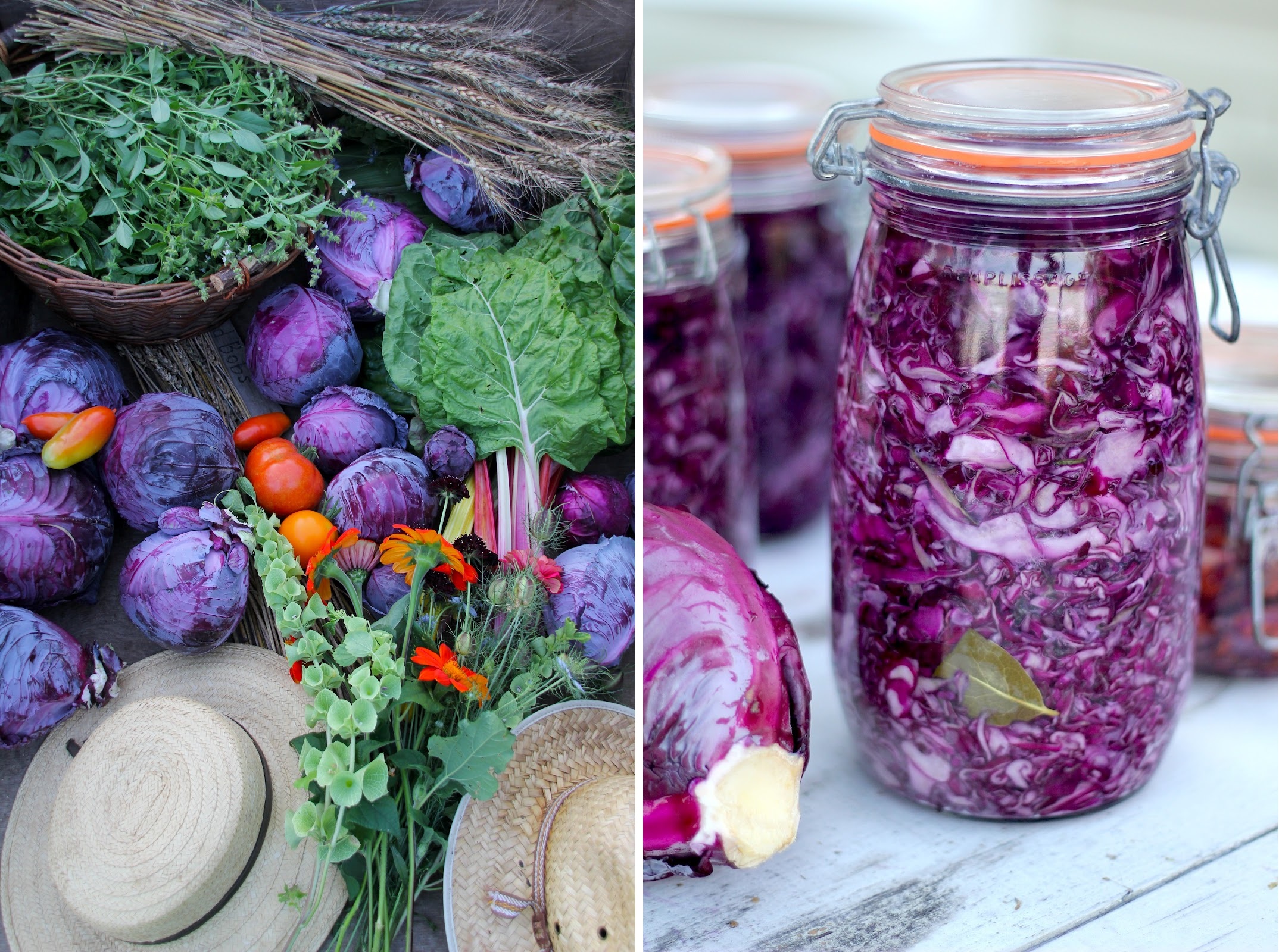 %d0%bc%d0%b0%d1%88%d0%b0-%d0%ba%d0%be%d1%82%d0%bb%d0%b5%d1%82%d0%ba%d0%b0