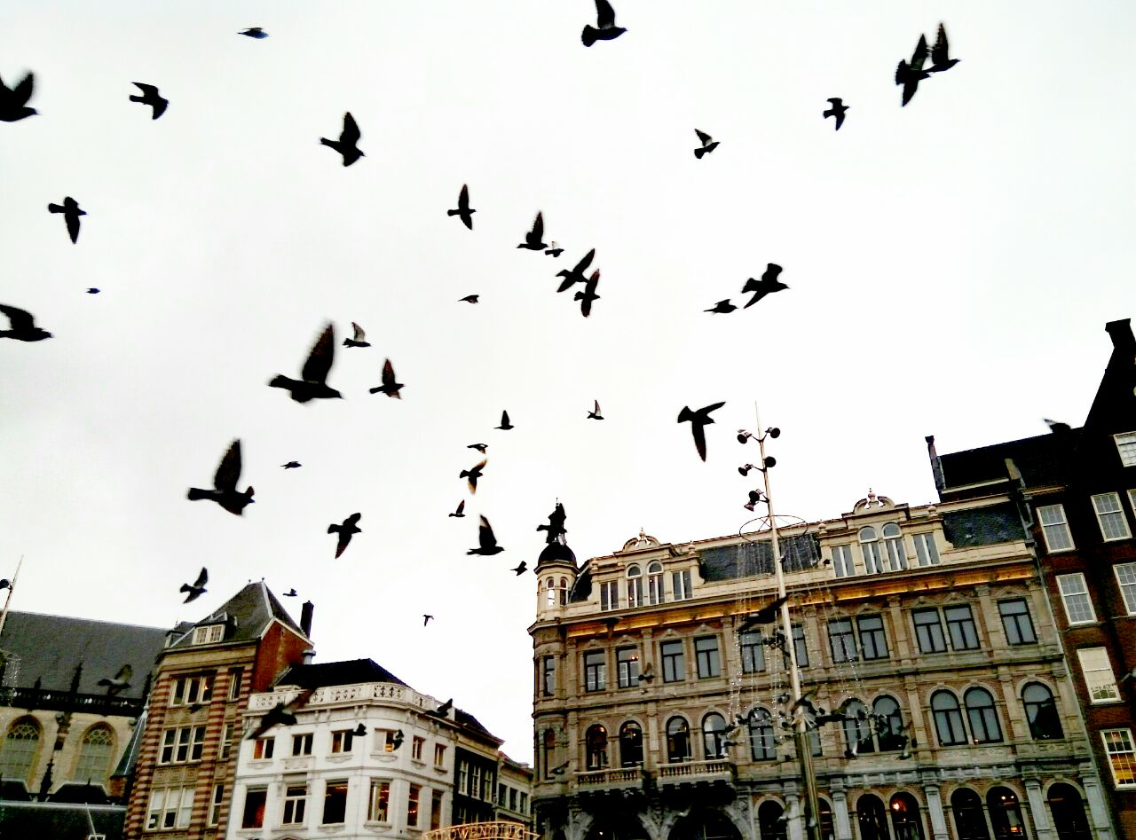 photo5399926403052447726