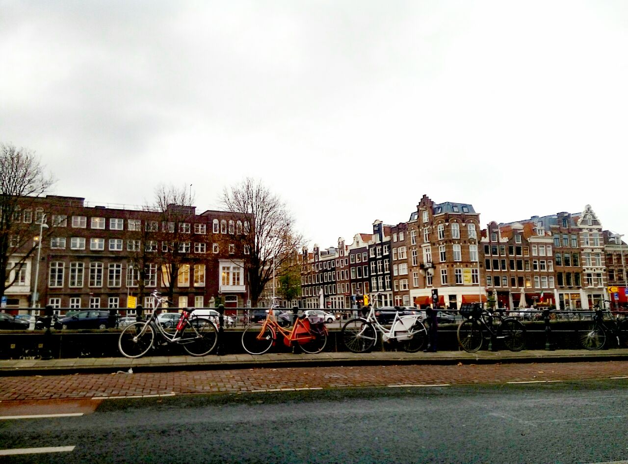 photo5399926403052447728