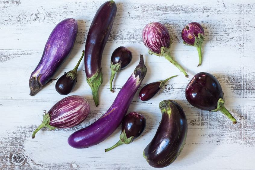 маша котлета