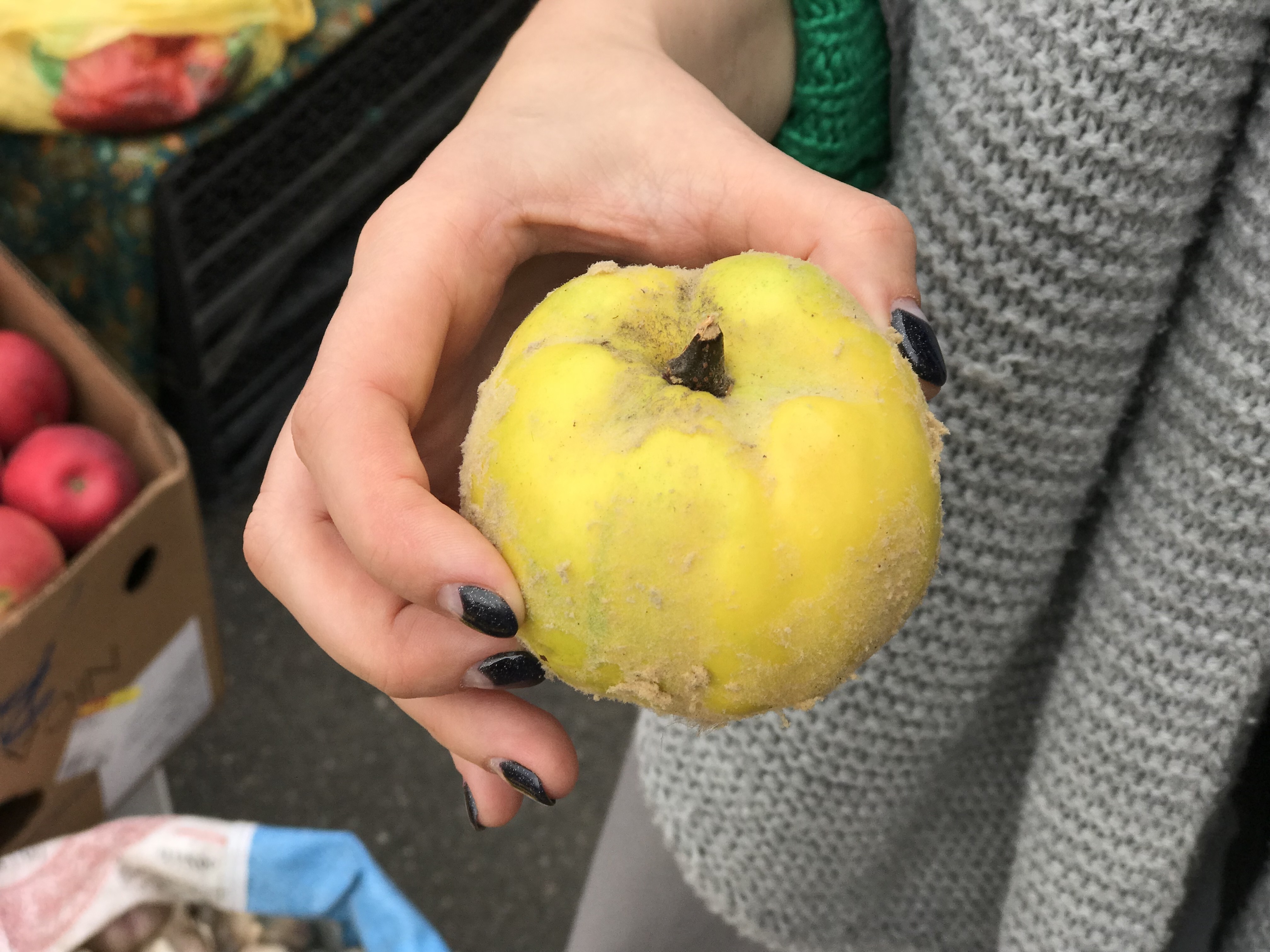 маша котлетка айва рецепт